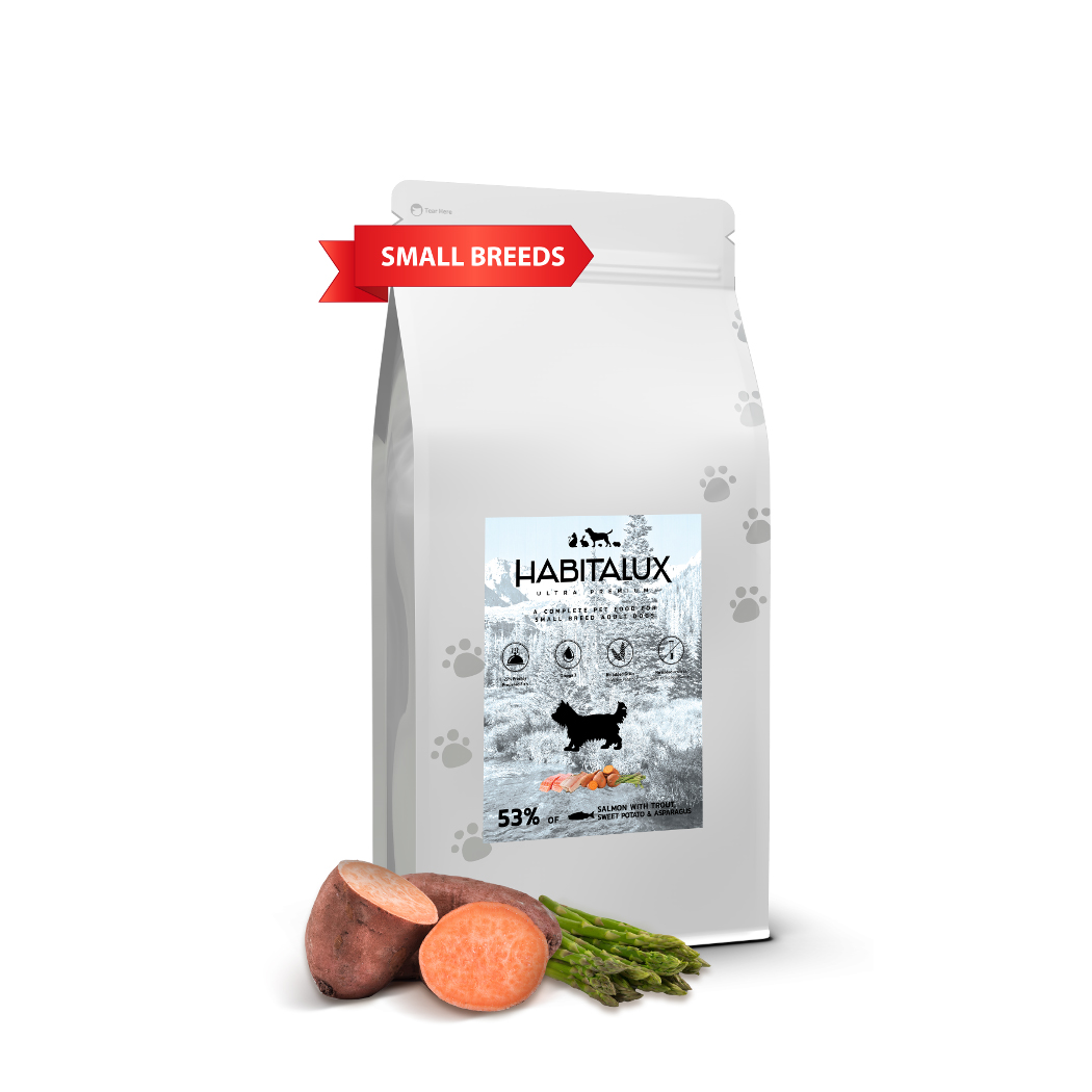 Dorosły_pies_mały_łosoś kopia